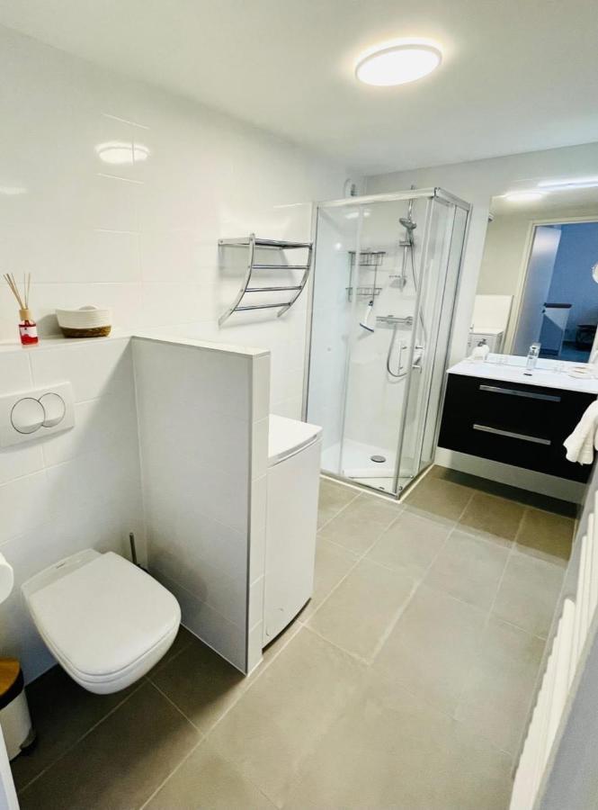 Le Quartz Tresum In A Modern Residence Near The Lake Garage Included อานซี ภายนอก รูปภาพ