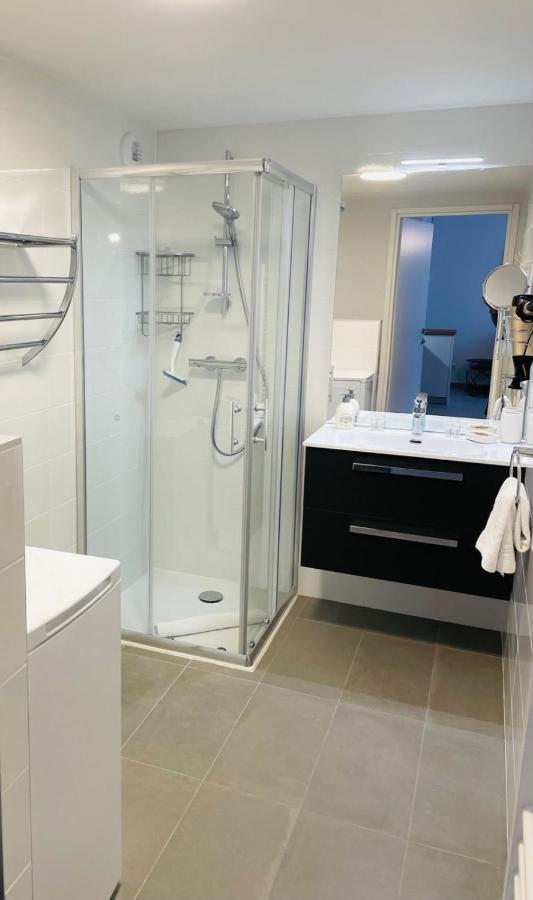 Le Quartz Tresum In A Modern Residence Near The Lake Garage Included อานซี ภายนอก รูปภาพ